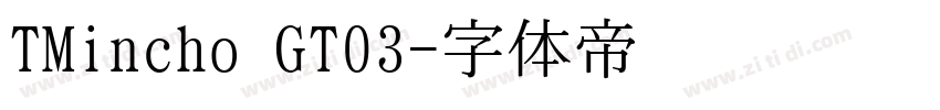 TMincho GT03字体转换